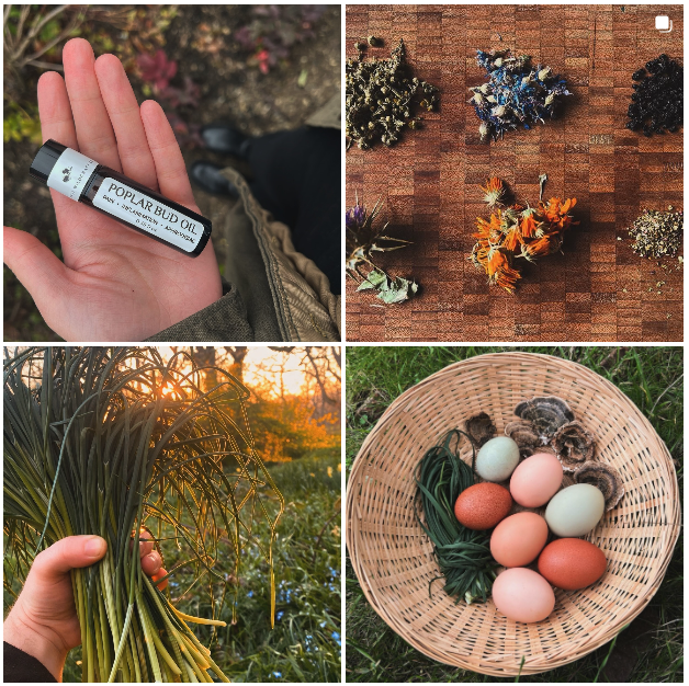 Inspiring others to see the beauty in small-scale local farming: a conversation with Nest Wildcraft