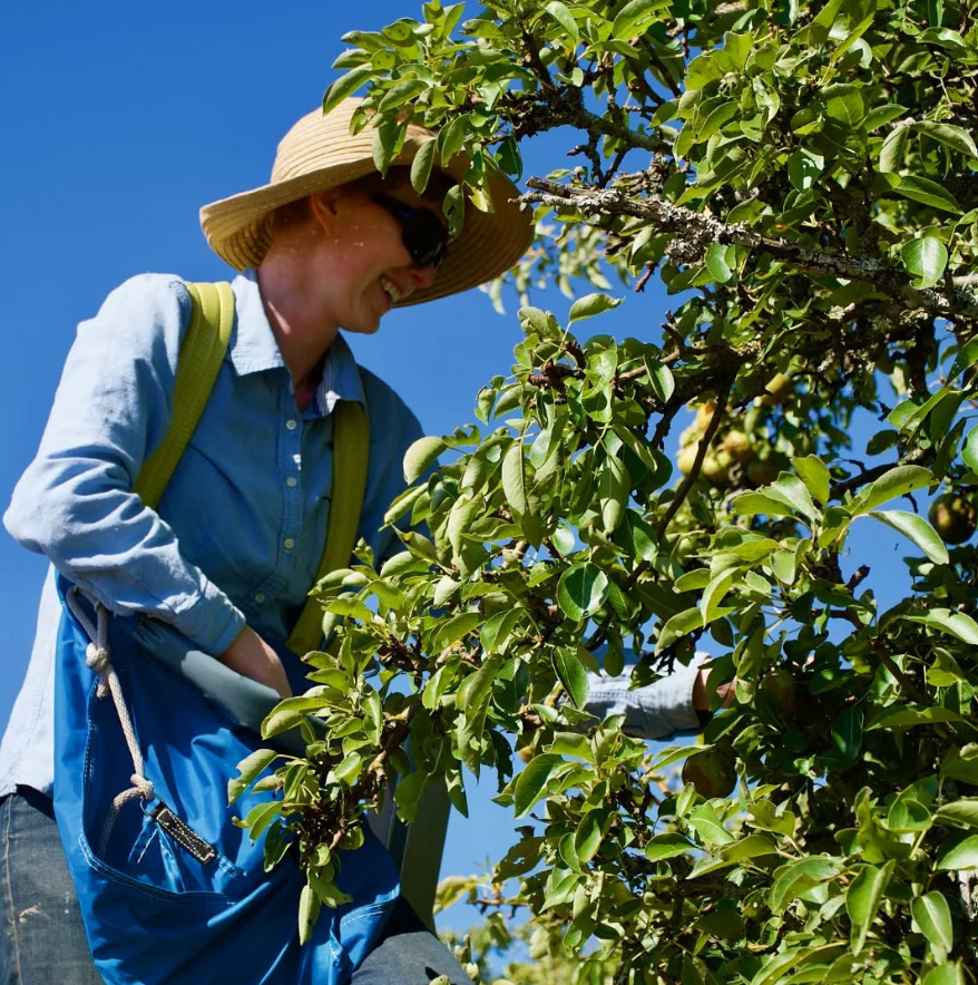 Grow, harvest, share: a conversation with the Lifecycles Project